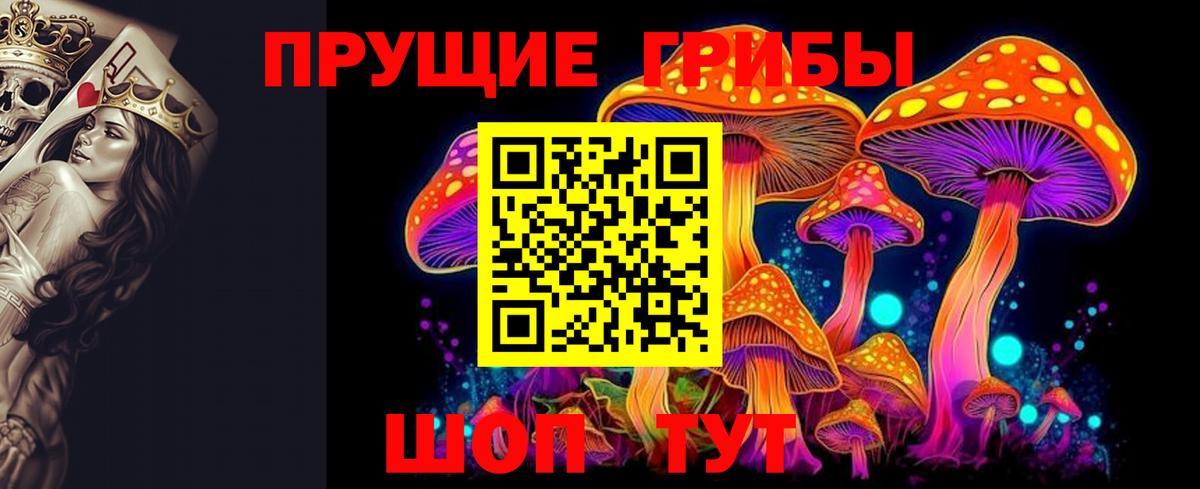 Гусев  Галлюциногенные грибы мухоморы  Вход с VPN 